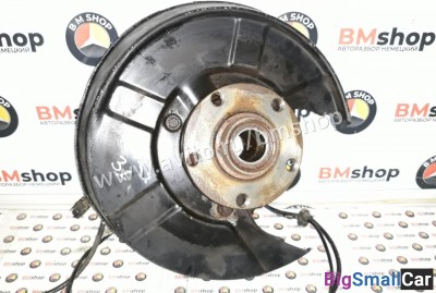 Кулак (цапфа) задняя левая Audi A6 C5 - купить Горном Ерике