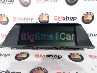 Монитор BMW F10 65509243897 - купить Горном Ерике