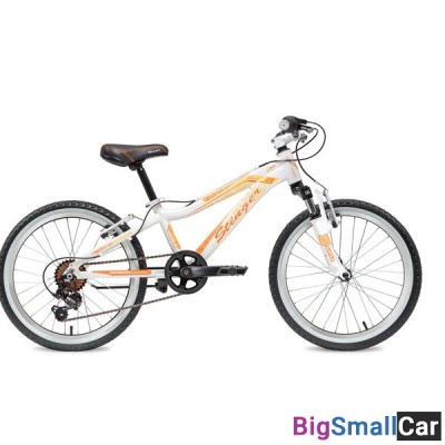 Дорожный велосипед STINGER 20AHV.FIONA.10WH8 - купить Горном Ерике