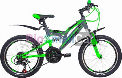 Дорожные велосипеды PIONEER TRIUMPH 20/13 gray-green-black