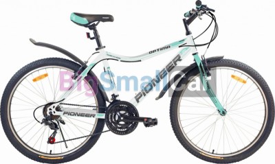 Дорожные велосипеды PIONEER OPTIMA 26/14 black-green-white - купить Горном Ерике